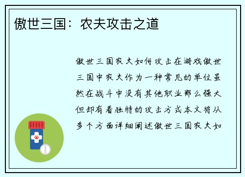 傲世三国：农夫攻击之道